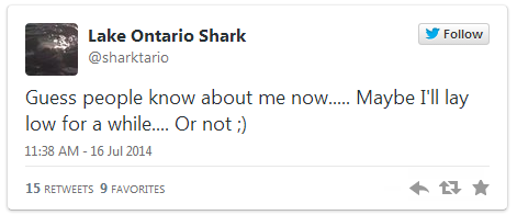 Lake Ontario Shark