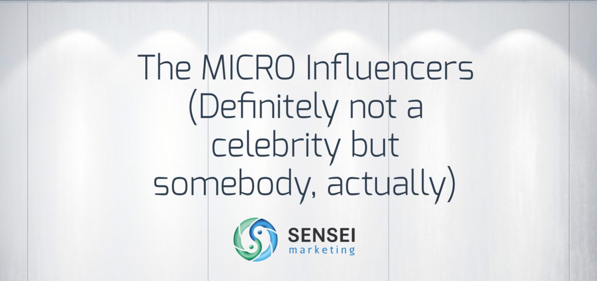 examples of micro influencers